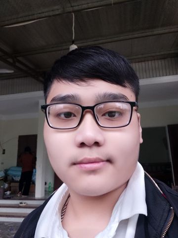 Việt Anh