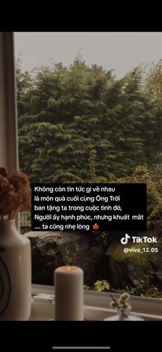 Nguyen T,Hang
