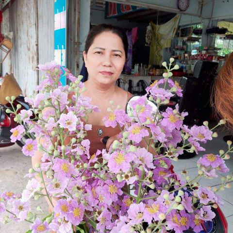 Lê thị Mến