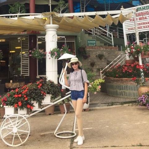 Ung thị mai thi