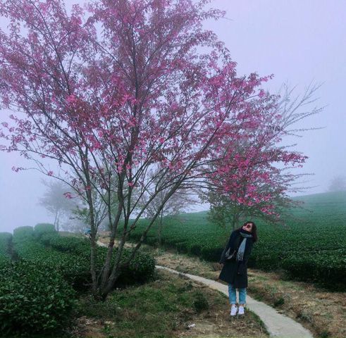 Tina Trần