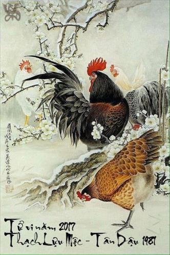 Thái Hoàng