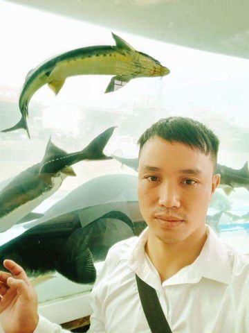 Hoàng Việt