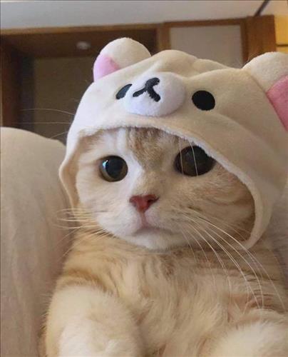 Lê Ly