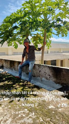 Nhật Trường