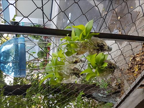 Mãi khắc tên người