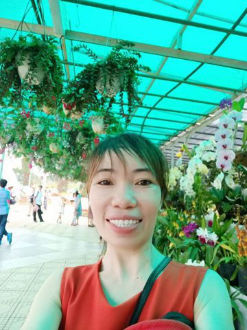 Thảo