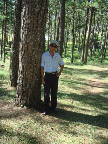 An Nguyen