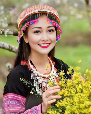 Hoa mi  to day