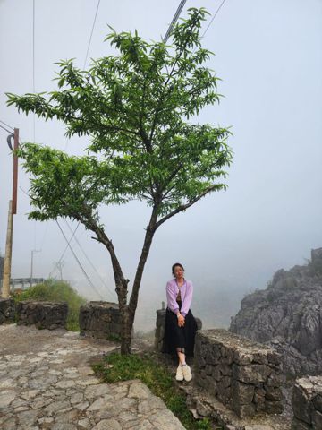 Phương Thái