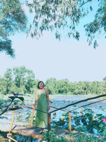 mỹ