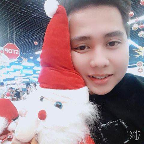 Gấu