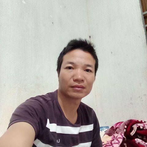 Trần tình