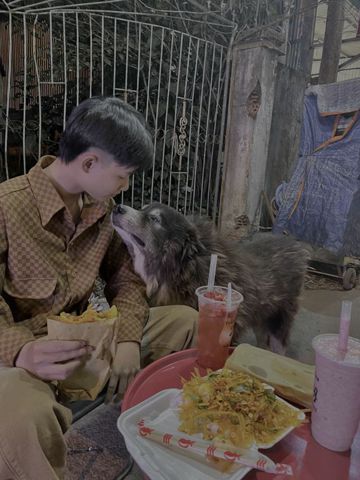 Bảo Bảo