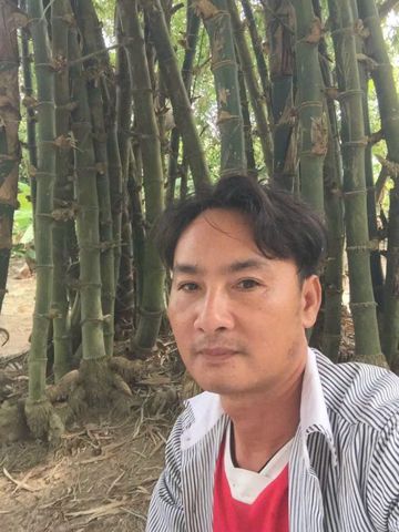 Tan phong