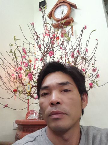 Sơn