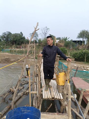 Cường