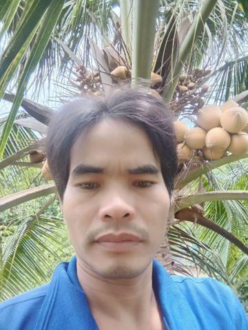 Trực