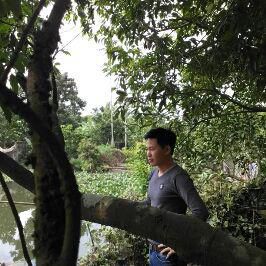 Binh