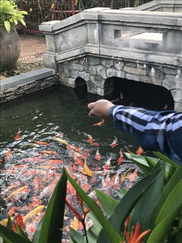 Tuyền