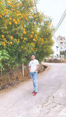 Hải Trần