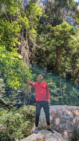 Sơn