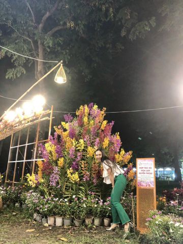 Tìm bạn chân thành