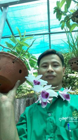 Trần Thanh Phong