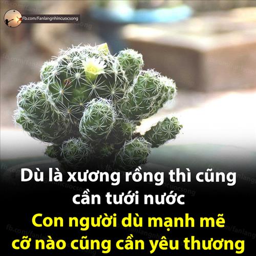 Hoàng Bảo Ngọc