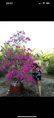 Ngọc Hoa
