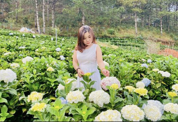 Hướng dương