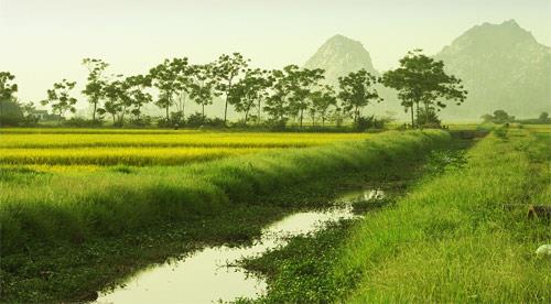 hoang