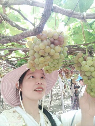 KimThư