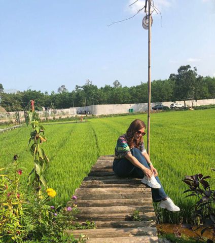 VY HƯƠNG
