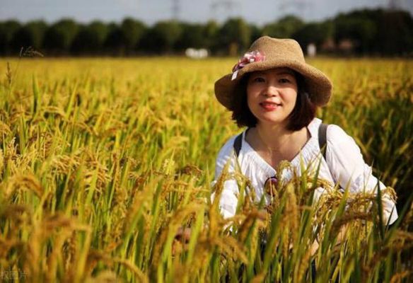 Anh Là Tất Cả