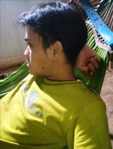 vy lê