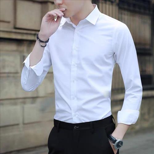 Thanh Hải Trần