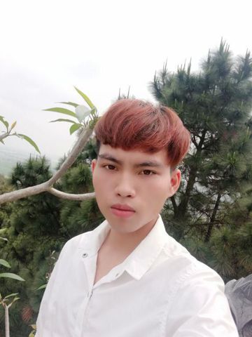 Quang bắc ninh