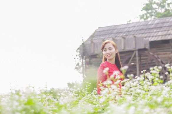 Mai Lan
