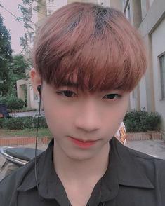 tranminhhung