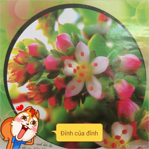 Đoài