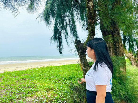 Hướng Dương