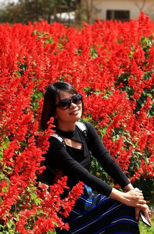 Phương Nguyễn