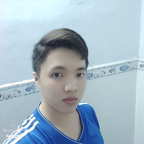 Bình