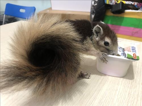 ღ_๖ۣۜSunny_ღ