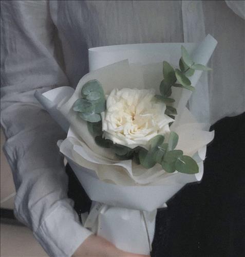 𝐙。🌿