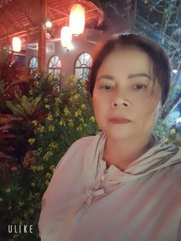 Tuyết hoa