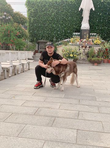 Trần Văn hảo