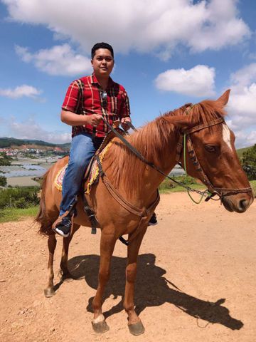 Phong