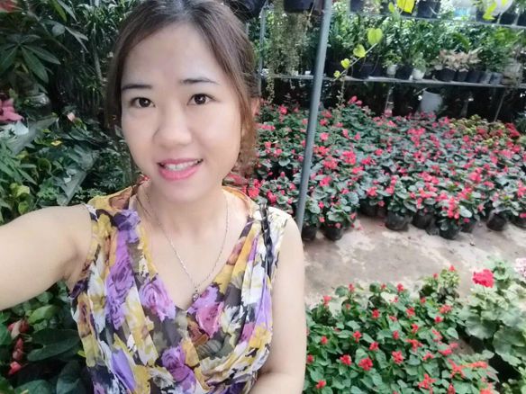 Hong thuận